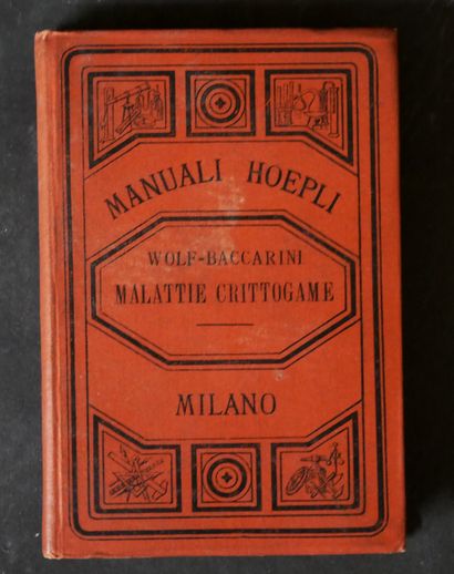 MYCOLOGY
R. WOLF W. ZOPF. 
Le malattie crittogamiche...