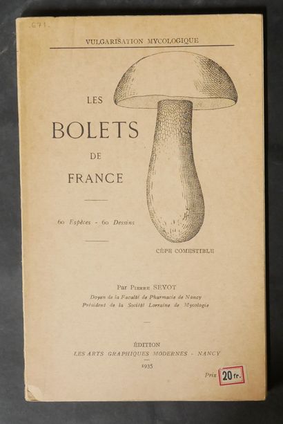 MYCOLOGY
W. G. SMITH. 
Synopsis of British...