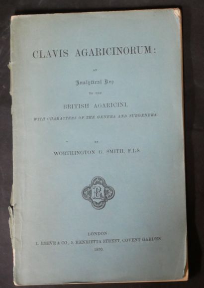 MYCOLOGY
W. G. SMITH. 
Synopsis of British...