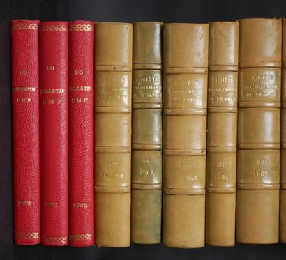 MYCOLOGY
The bulletin of the Mycological...