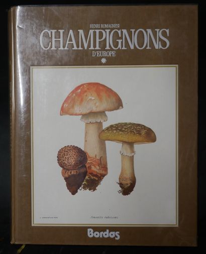MYCOLOGY
A. de la ROCQUE. 
Poisonous edible...