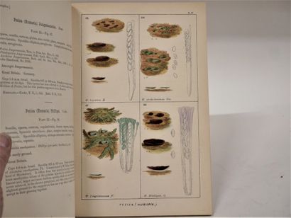 MYCOLOGY
René BIGEARD Henri GUILLEMIN 
-...