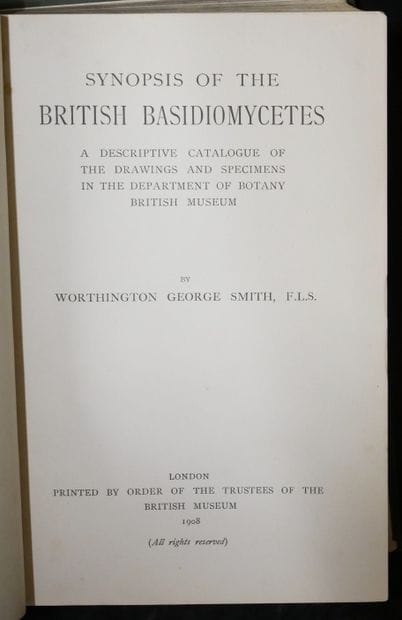 MYCOLOGY
W. G. SMITH. 
Synopsis of British...