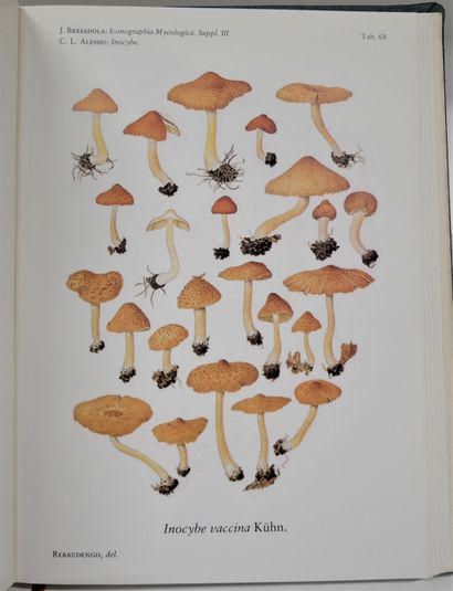 MYCOLOGY
Giacomo BRESADOLA. 
Fungi tridentini...