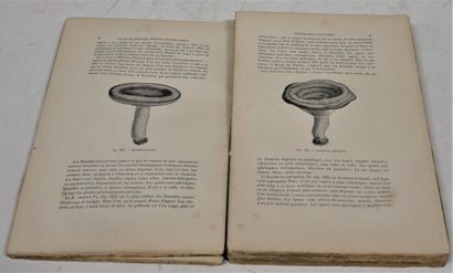 MYCOLOGY
Henri BAILLON. 
Traité de botanique...