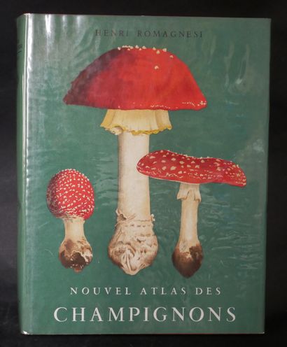 MYCOLOGY
A. de la ROCQUE. 
Poisonous edible...