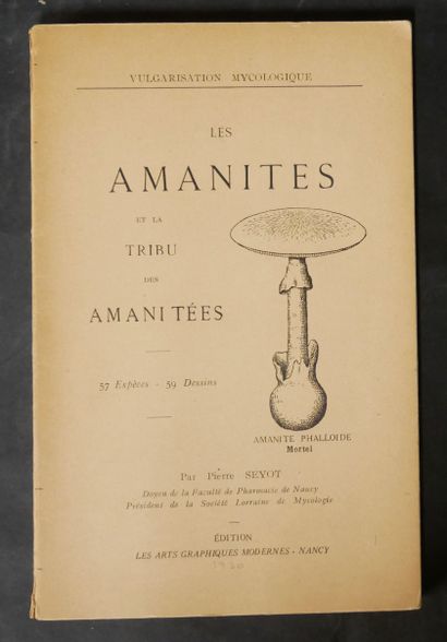 MYCOLOGY
W. G. SMITH. 
Synopsis of British...