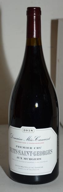 1 magnum NUITS-SAINT-GEORGES 