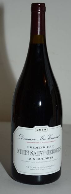 1 magnum NUITS-SAINT-GEORGES 