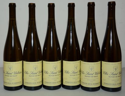 6 bottles PINOT GRIS 