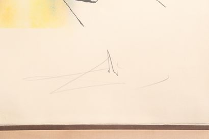 Salvador DALI (1904-1989)
Mystic indian,...