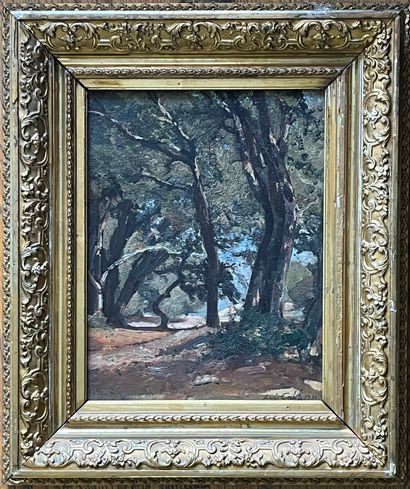 Louis CABIE (1853-1939)
Shaded path to the...