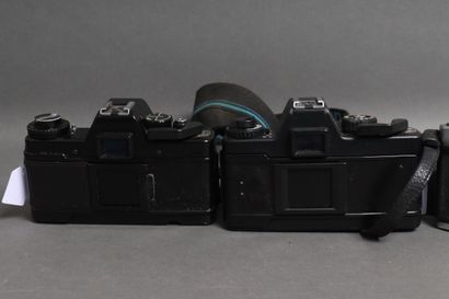 ASAHI
- Camera model PENTAX MX, obj. Asahi...