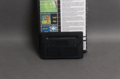 Megadrive :
European Club Soccer