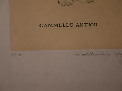 Mario DELLAVEDOVA (1958-) 
Cammello antico
Lithographie...