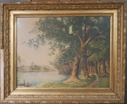 Francis ROTH (1883-1932) :
Sous-bois et Bord...