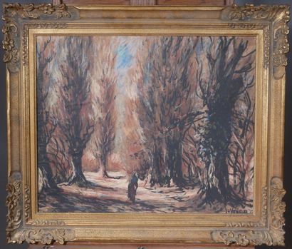 Ecole moderne
Paysage de forêt
Crayon sur...