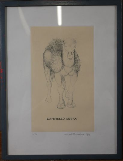 Mario DELLAVEDOVA (1958-) 
Cammello antico
Lithographie...