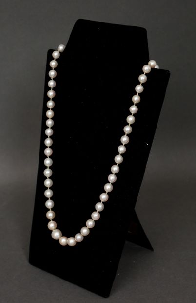 Collier de perles de culture en chute, monture...