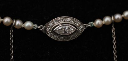 Collier de perles de culture en chute (7...