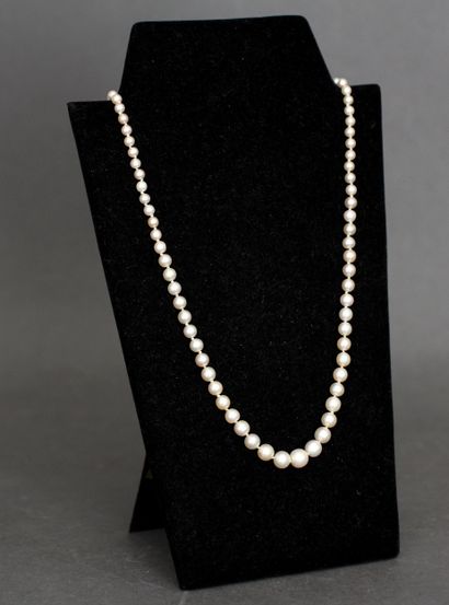 Collier de perles de culture en chute (7...