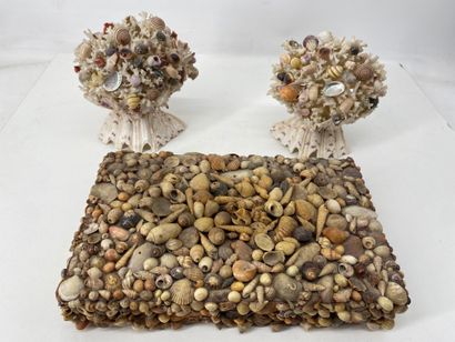 Pair of shell compositions. Modern. (Accidents)....