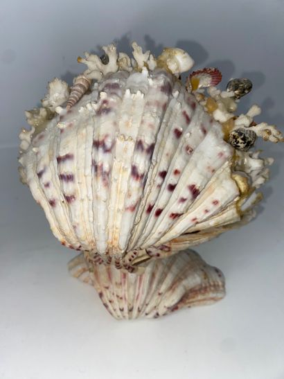 Pair of shell compositions. Modern. (Accidents)....