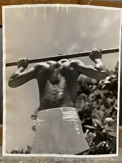Modern school Gymnasium exercising at the...