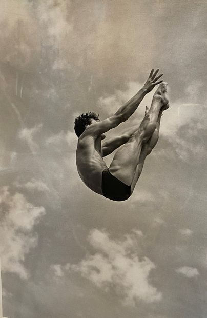 Modern school Diver's jump Black and white...