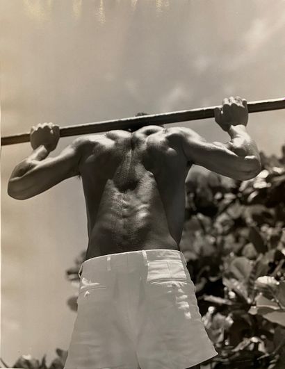 Modern school Gymnasium exercising at the...