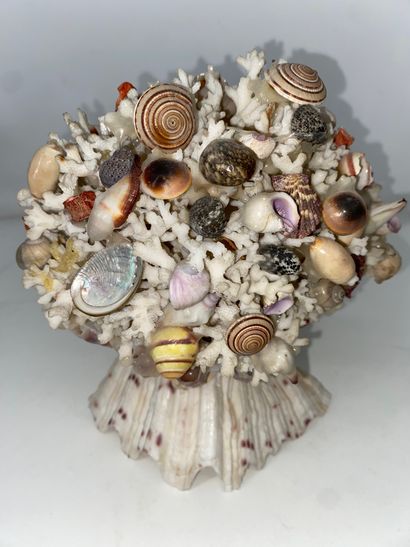 Pair of shell compositions. Modern. (Accidents)....