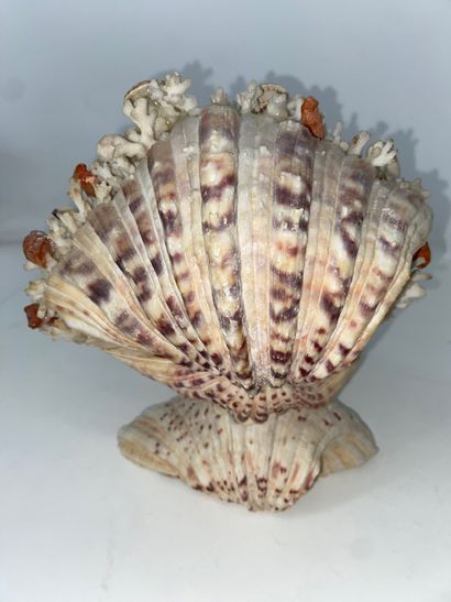 Pair of shell compositions. Modern. (Accidents)....