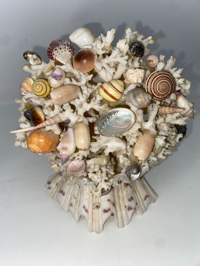 Pair of shell compositions. Modern. (Accidents)....