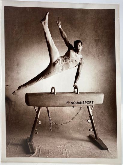 Modern school The pommel horse Black and...