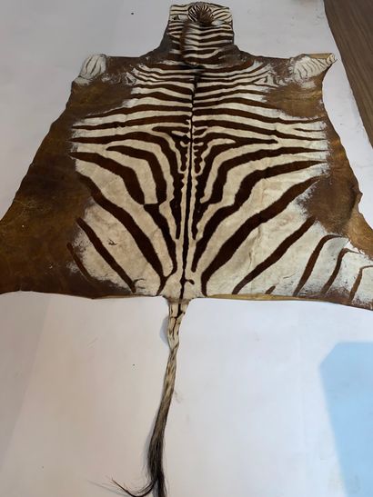 Zebra skin (Worn). 260 x 190 cm.