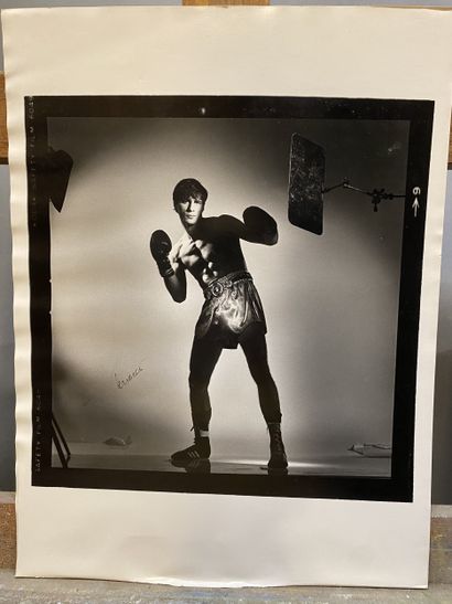 Modern school Boxer Black and white photograph,...