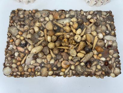 Pair of shell compositions. Modern. (Accidents)....