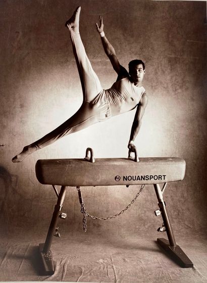 Modern school The pommel horse Black and...