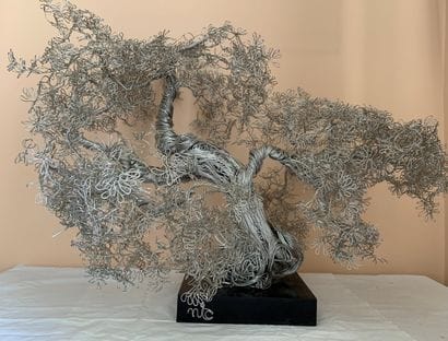 Nicolas BROCA (1932-1993) dit NIC
Arbre de...