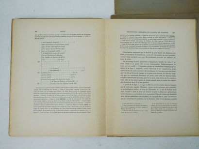Henri SEYRIG. 
Antiquités syriennes.
In-4...