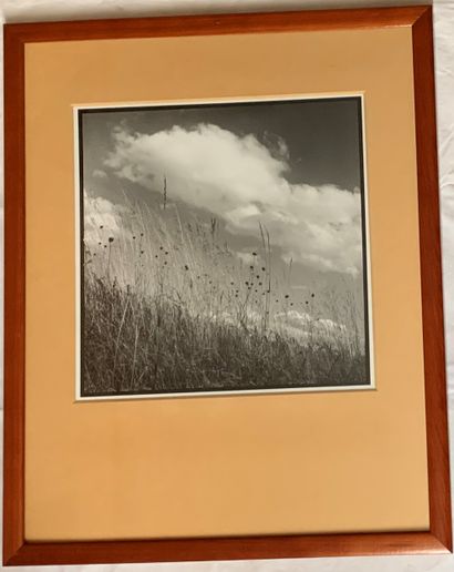 Philippe LEVY-STAB (1967-)
Joy spring
Photographie
Tirage...