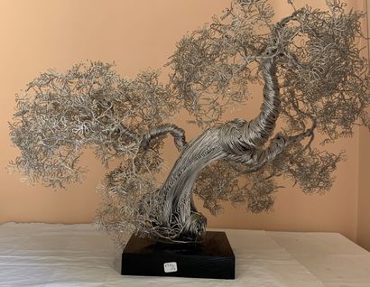 Nicolas BROCA (1932-1993) dit NIC
Arbre de...