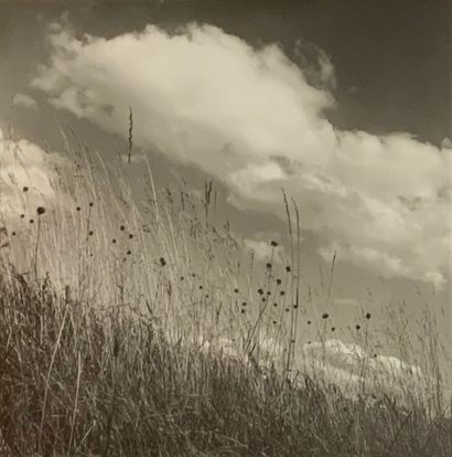Philippe LEVY-STAB (1967-)
Joy spring
Photographie
Tirage...