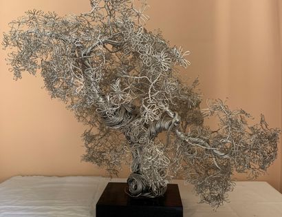 Nicolas BROCA (1932-1993) dit NIC
Arbre de...