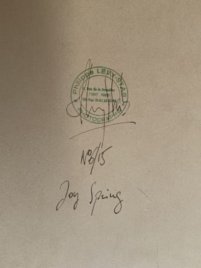 Philippe LEVY-STAB (1967-)
Joy spring
Photographie
Tirage...