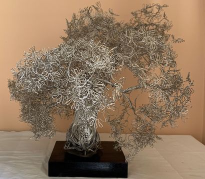 Nicolas BROCA (1932-1993) dit NIC
Arbre de...