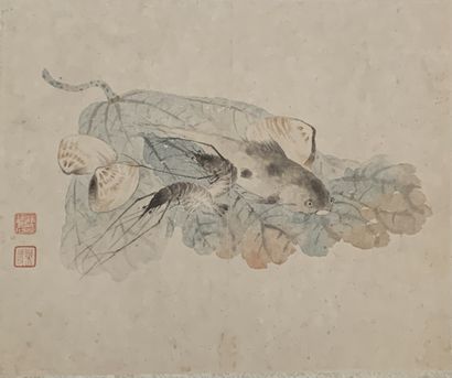 Ecole chinoise
La poule et le poisson chat
Deux...