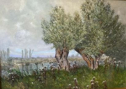 Lot :
- Victor HENRY (1855-1942) 
Des saules...