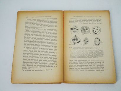 Lot :
- Th. RIBOT. 
Les maladies de la personnalité.
Félix...