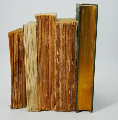 Lot :
- Léon BLUM. 
L’Histoire jugera.
L’Arbre,...